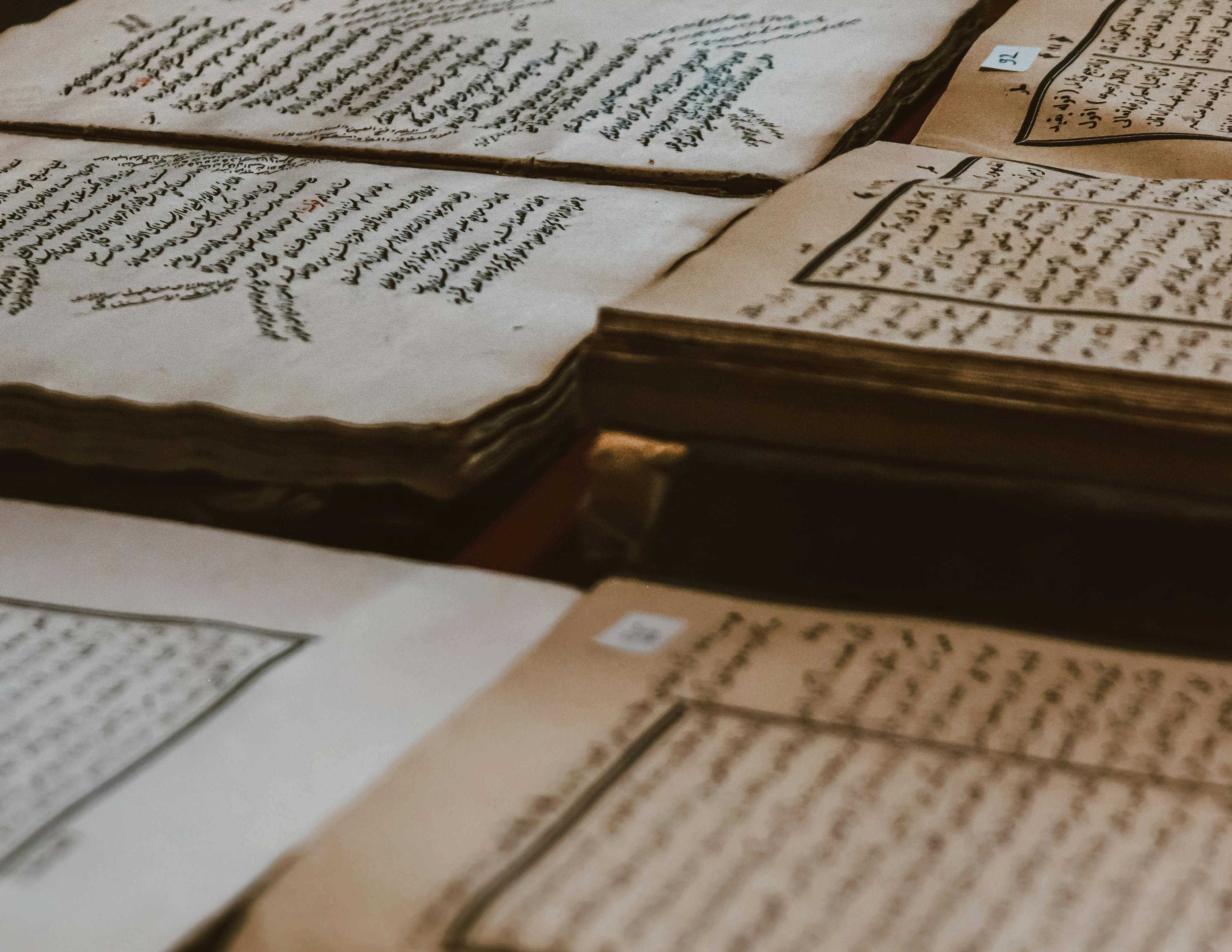 The Archive — cross-cultural research library